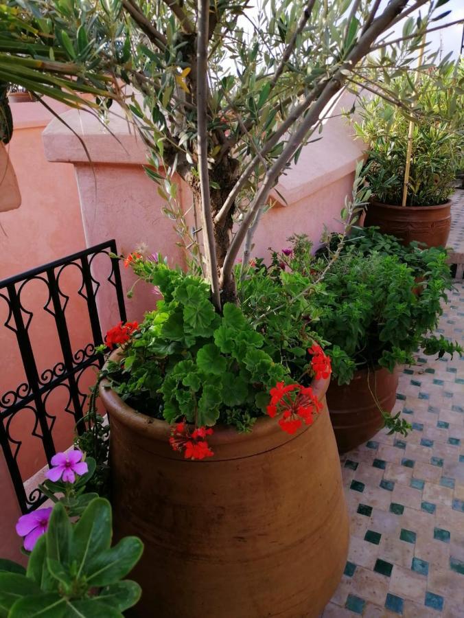 Riad Aventurine Μαρακές Εξωτερικό φωτογραφία